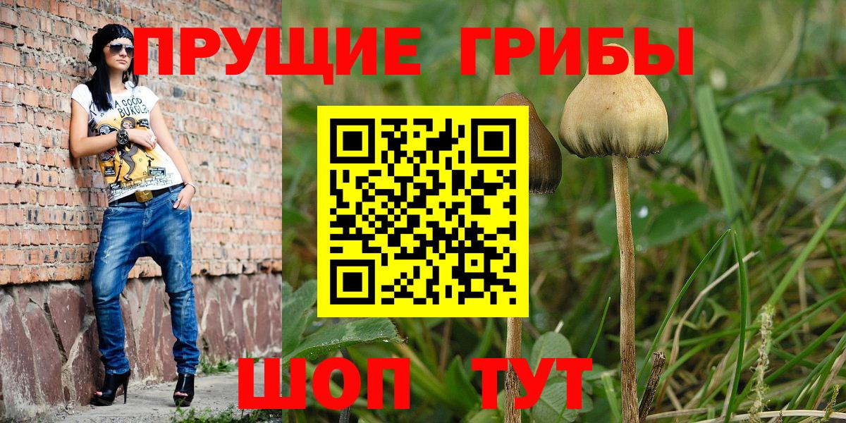 Галлюциногенные грибы ЛСД Серов