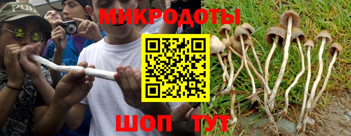 Псилоцибиновые грибы MAGIC MUSHROOMS  Вход с VPN  Серов 