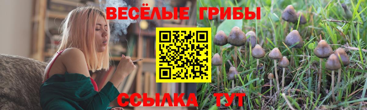ГАШ  КОКАИН  Мефедрон кристаллы  АМФ кристаллы  НБОМе  Серов  МДМА  Марихуана  ГАШ  Вход с VPN 